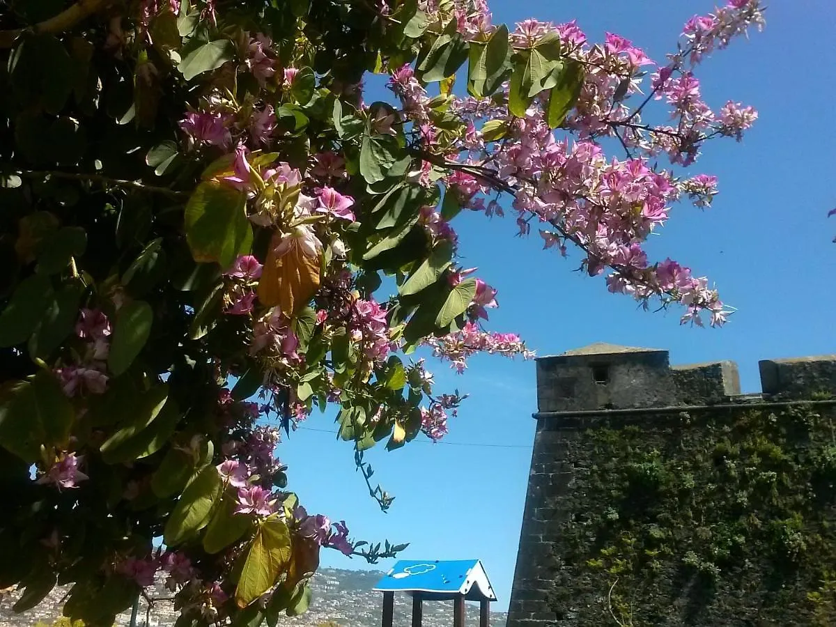 Casa Pico Musica Apartment Funchal  0*, Funchal (Madeira)
