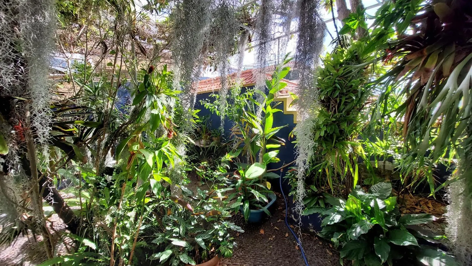 Casa Pico Musica Apartment Funchal