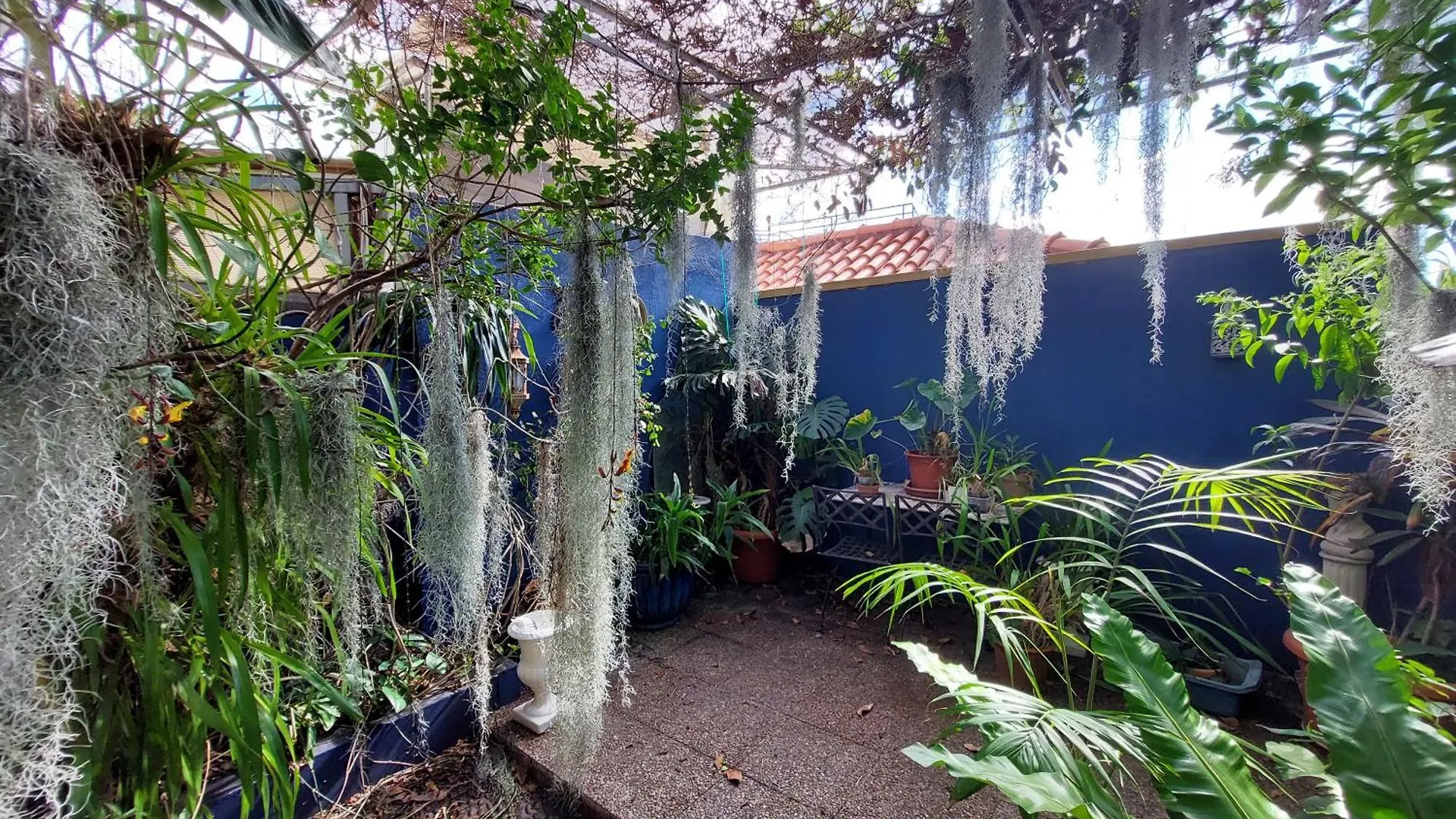 Casa Pico Musica Apartment Funchal  0*, Funchal (Madeira)