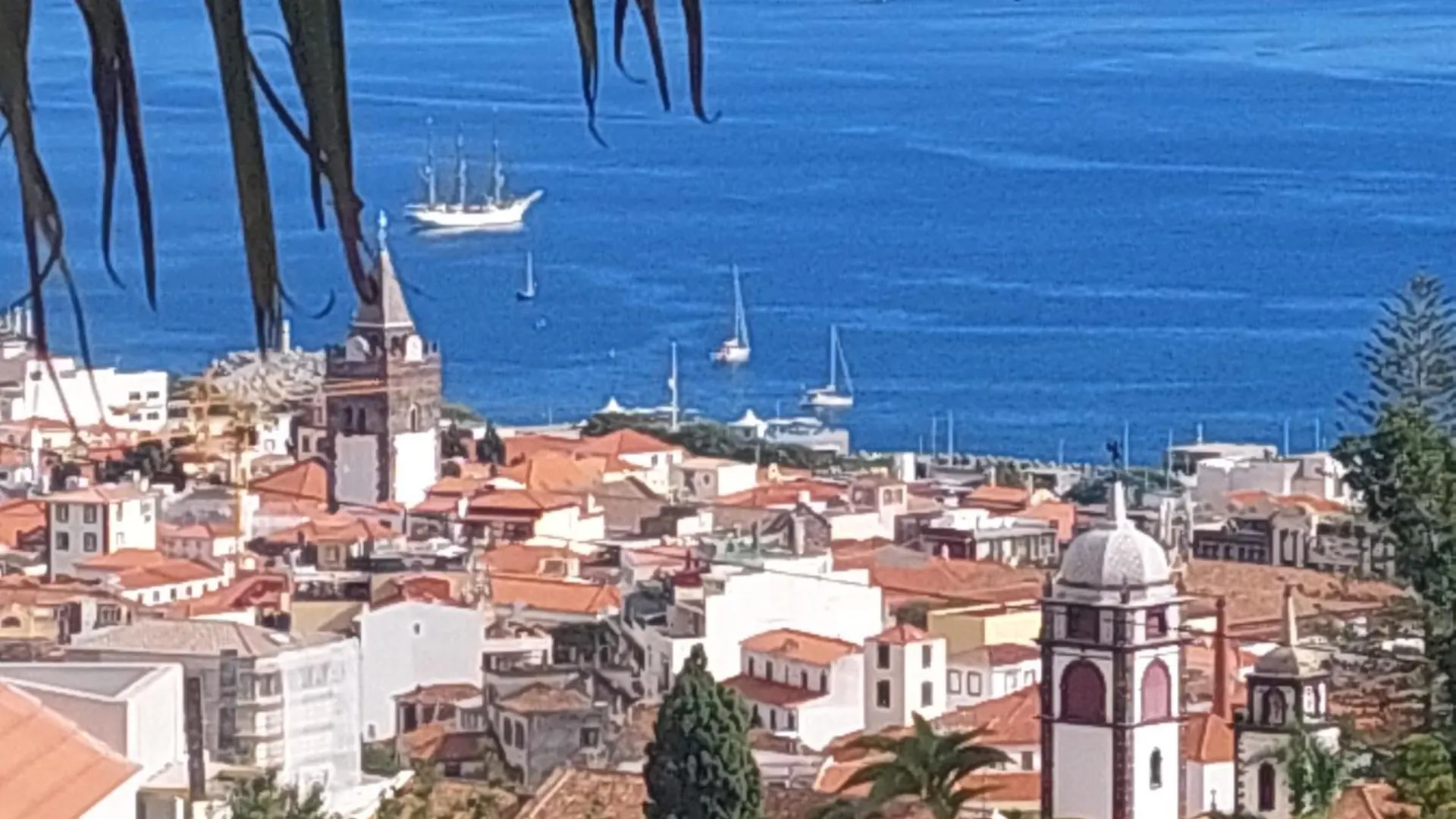 Casa Pico Musica Apartment Funchal