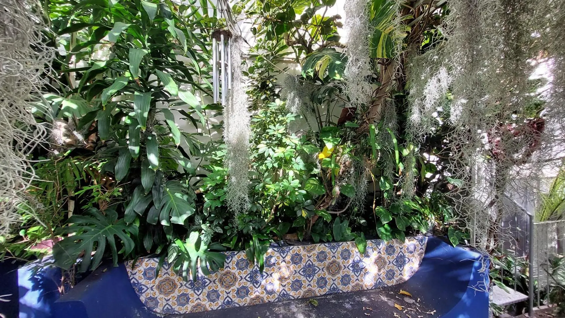 Casa Pico Musica Apartment Funchal